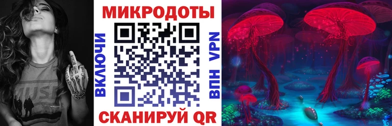 блэк спрут как войти  Астрахань  Галлюциногенные грибы мухоморы 